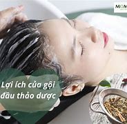 Công Thức Gội Đầu Bằng Thảo Dược