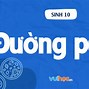 Quá Trình Quang Hợp Diễn Ra Ở Đâu Trong Tế Bào