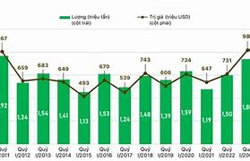 Thị Trường Gạo Thế Giới Năm 2023