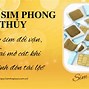 Xem Sim Hợp Tuổi Hay Không